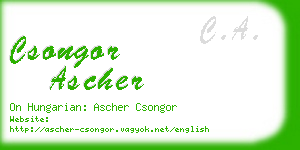 csongor ascher business card